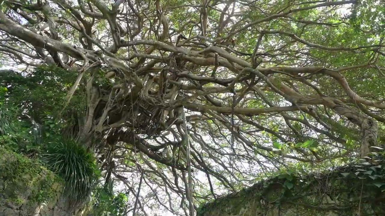 観光スポット動画